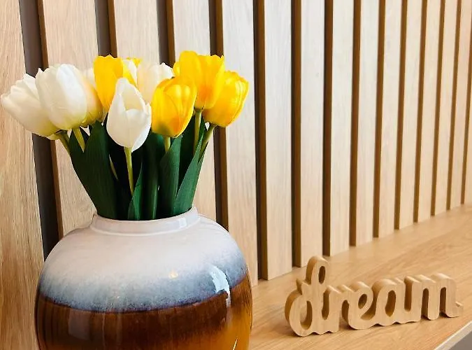 Brand New, Feel At Timisoara